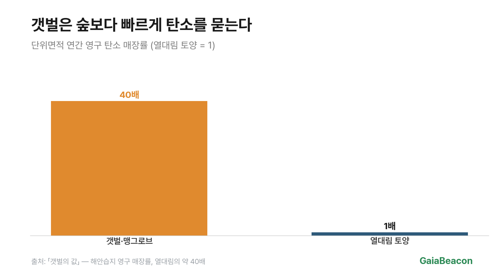숲 대비 탄소흡수