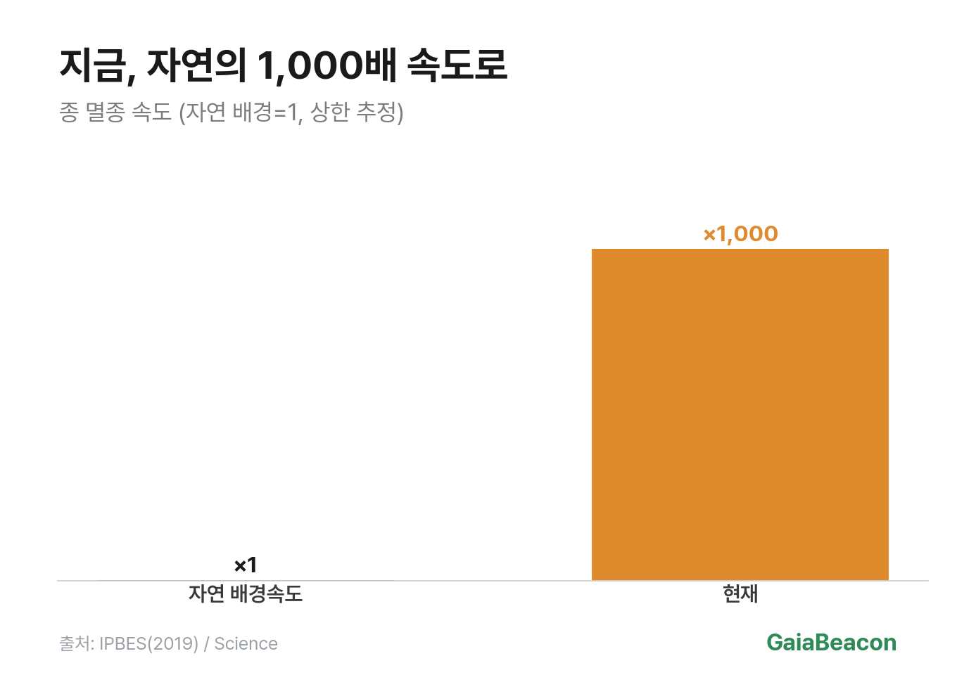 현재 멸종 속도