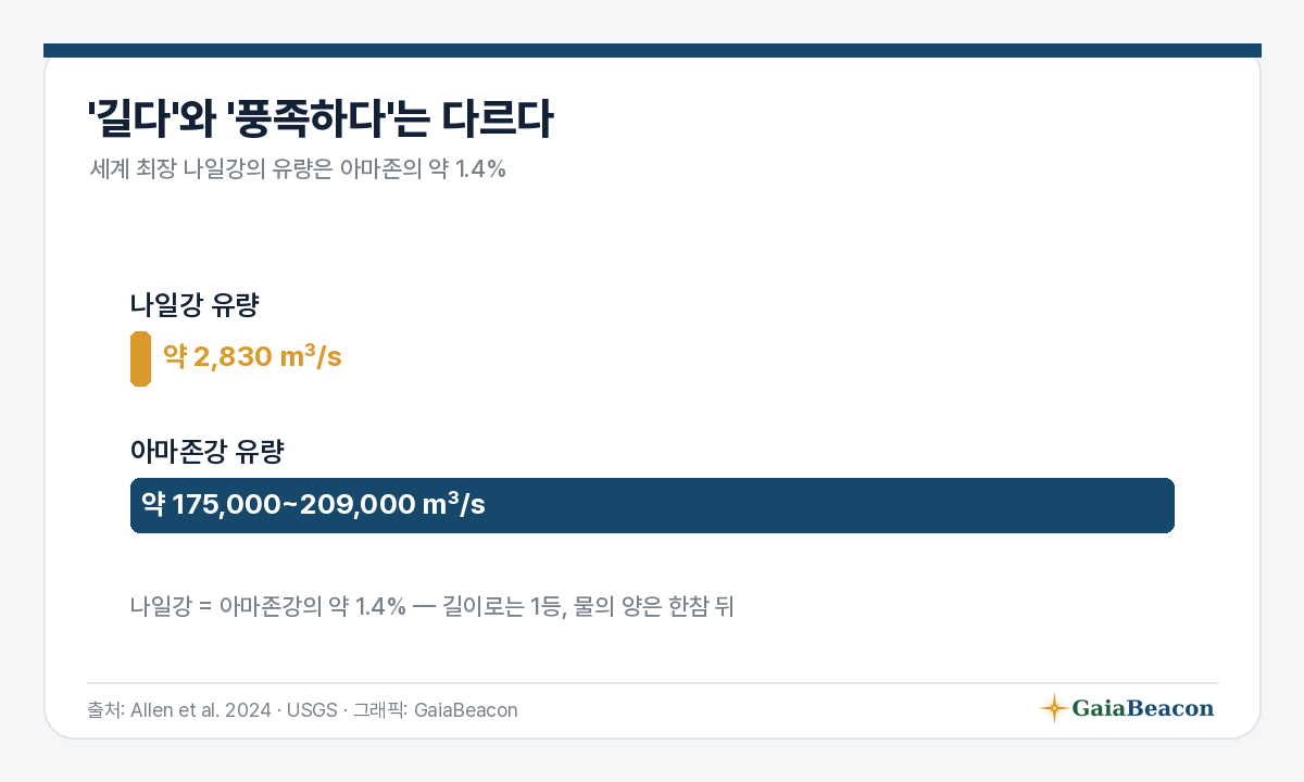 나일 vs 아마존 유량
