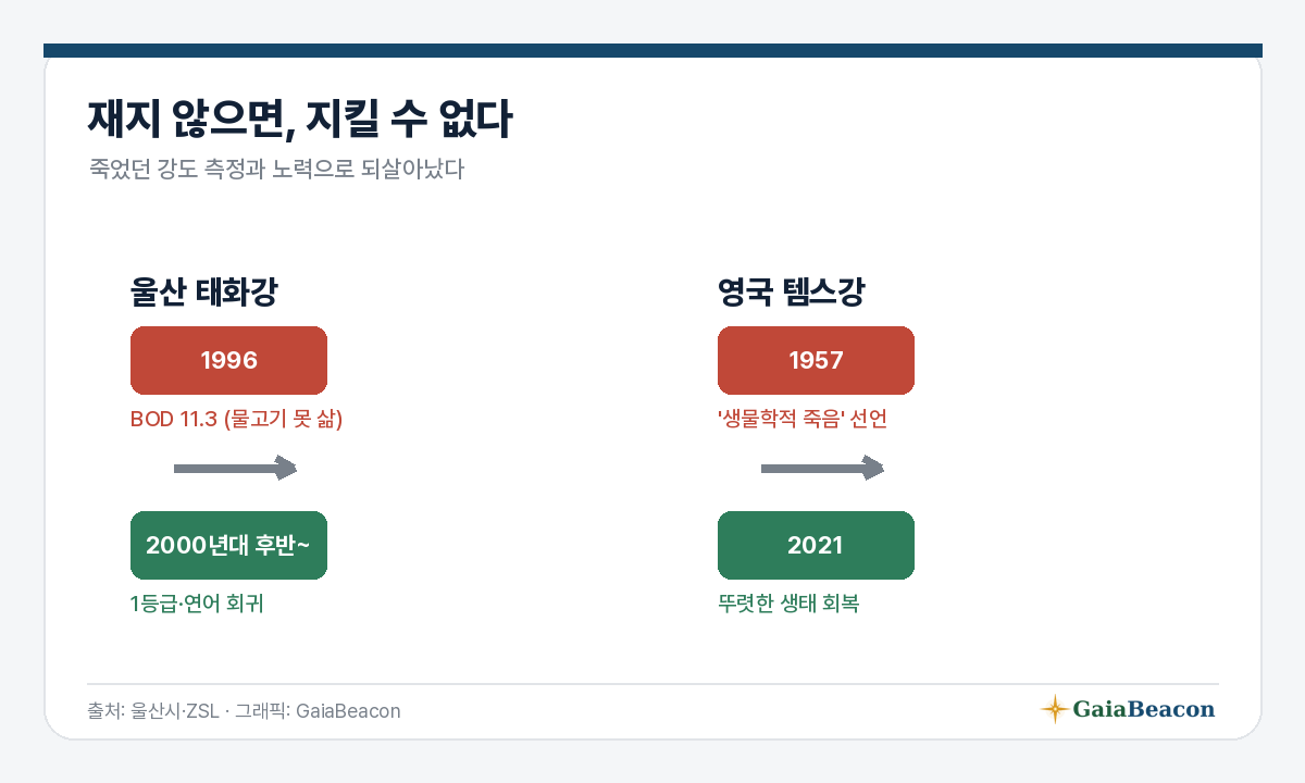 되살아난 강 — 태화강·템스
