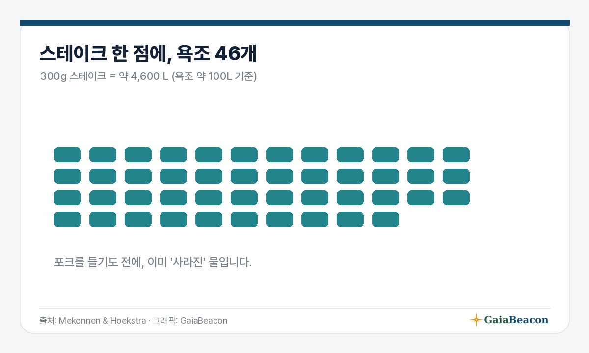 스테이크 300g = 욕조 46개