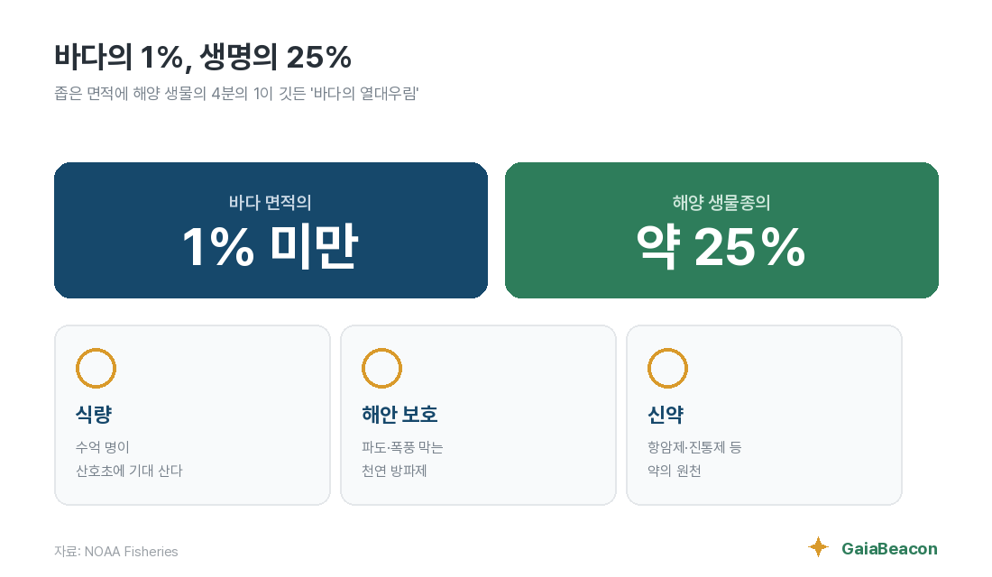 바다의 1%, 생명의 25% — 산호초의 가치