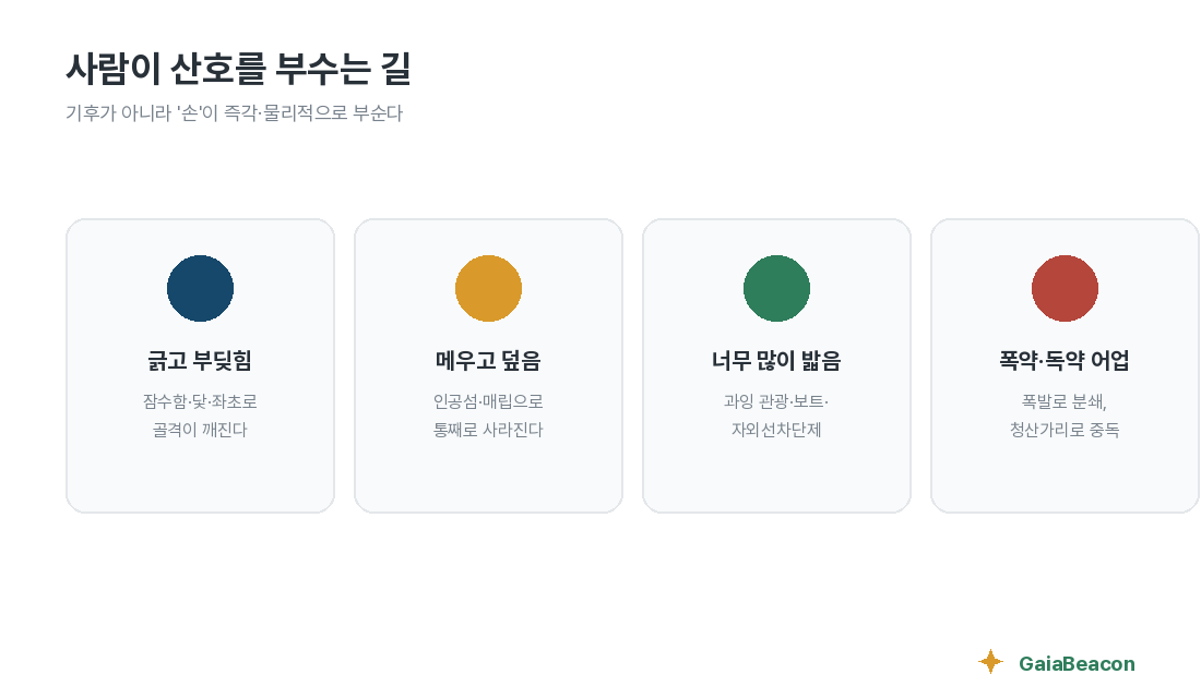 사람이 산호를 부수는 길 — 네 가지 유형