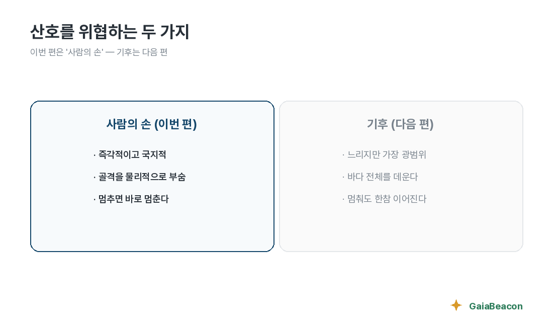 산호를 위협하는 두 가지 — 사람의 손과 기후