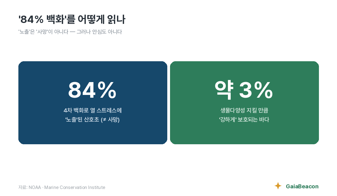 84% 백화를 어떻게 읽나 — 노출은 사망이 아니다, 강한 보호는 3%