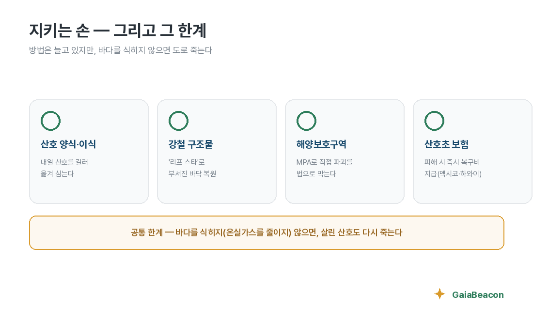 지키는 손 — 그리고 그 한계