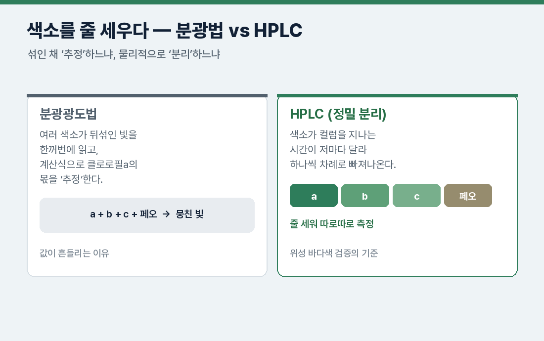 색소를 줄 세우다 — 분광법 vs HPLC