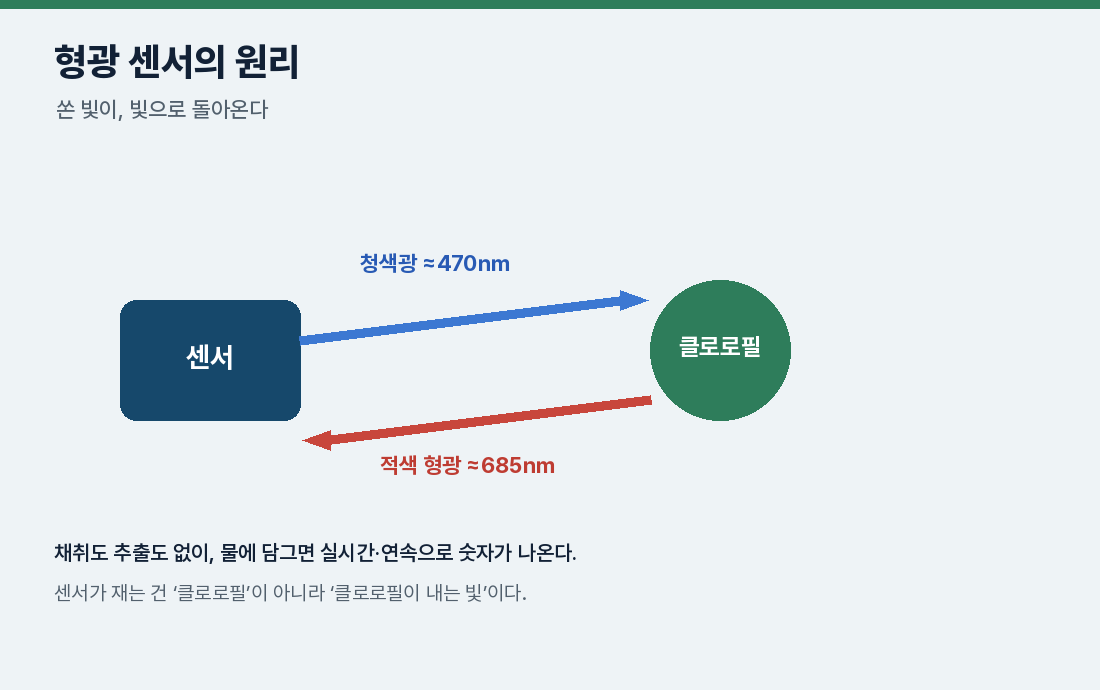 형광 센서의 원리 — 청색광을 쏘면 적색 형광이 돌아온다