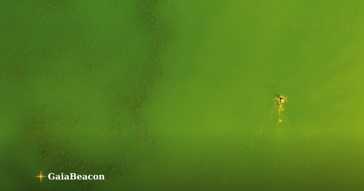 같은 강물, 다른 숫자