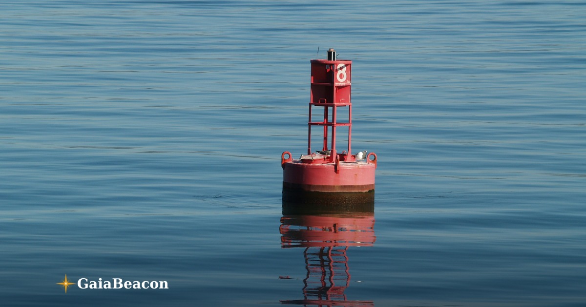 바다의 눈을 거둘 것인가