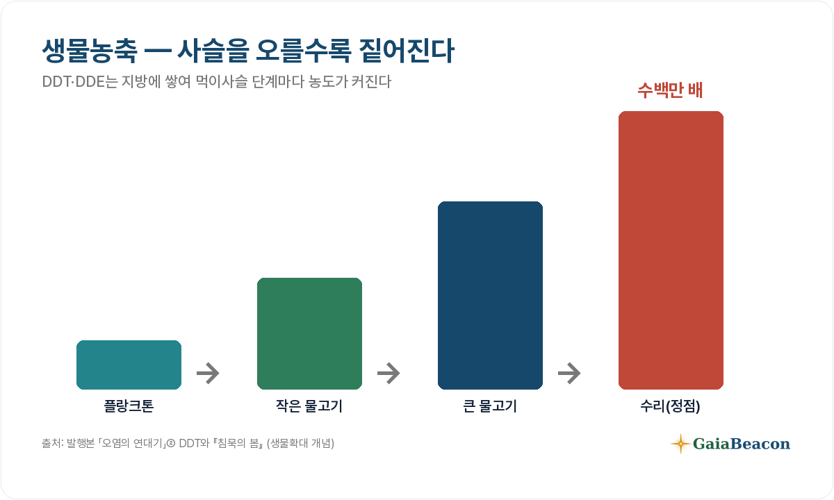 생물농축 — 먹이사슬을 오를수록 농도가 수백만 배로 짙어진다.
