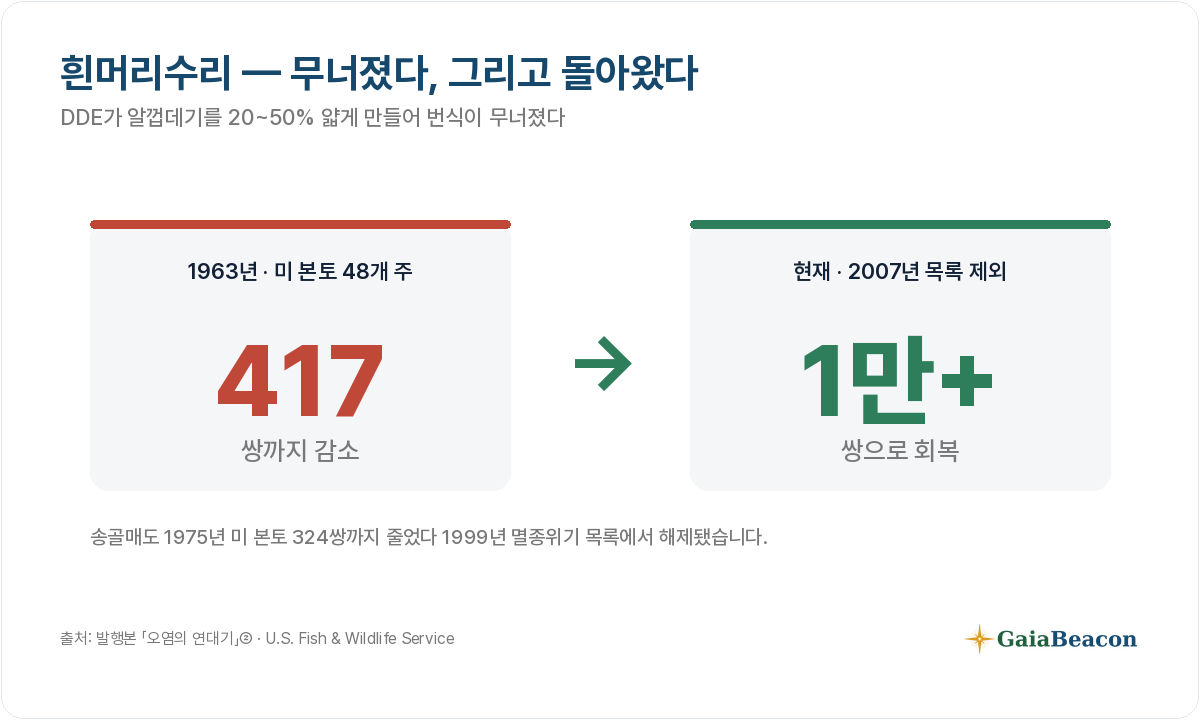 흰머리수리는 1963년 417쌍까지 줄었다 1만 쌍 이상으로 회복됐다.