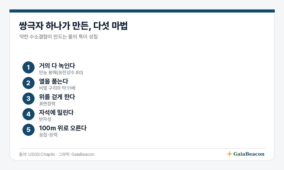 쌍극자가 만든 다섯 마법