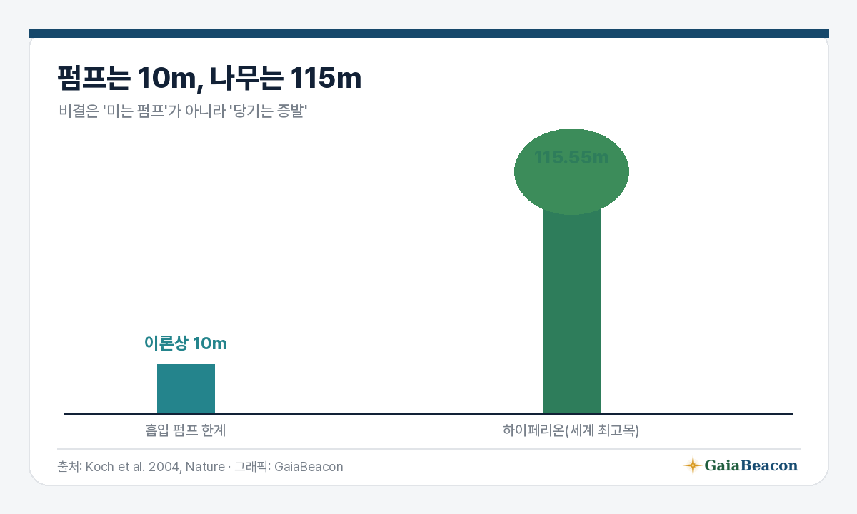 펌프는 10m, 나무는 115m