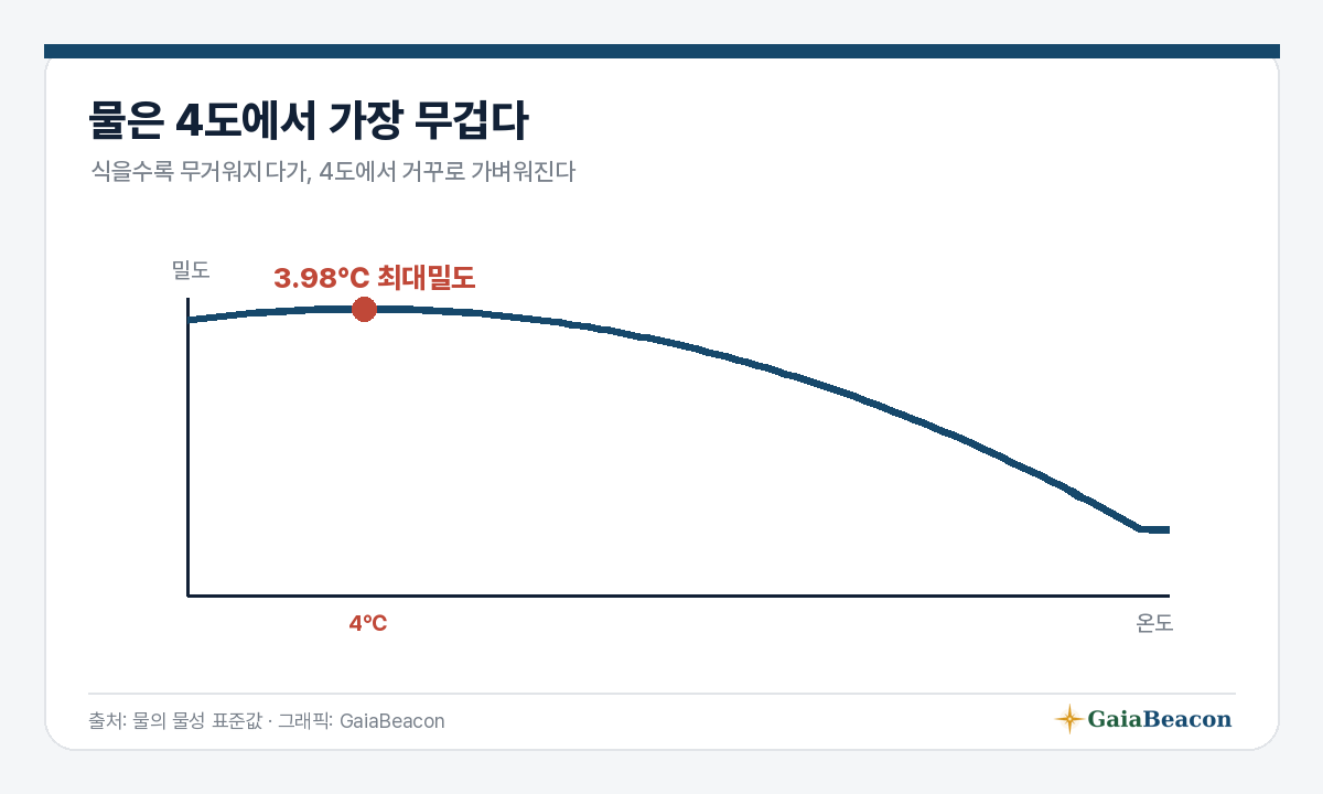 물은 4도에서 가장 무겁다(밀도 곡선)