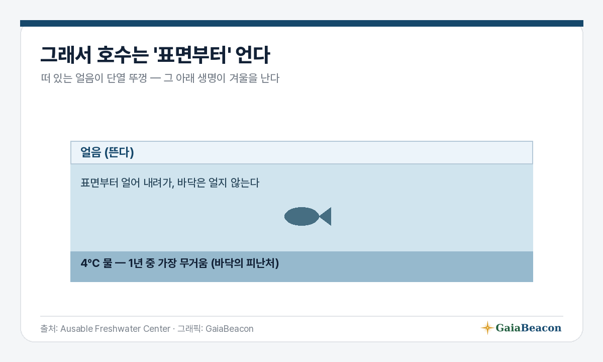 호수는 표면부터 언다(단면)