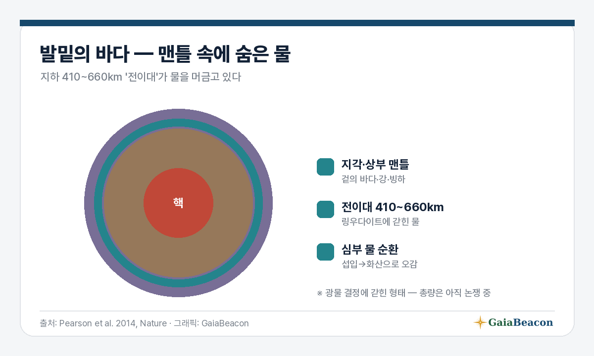맨틀 전이대의 물(단면)