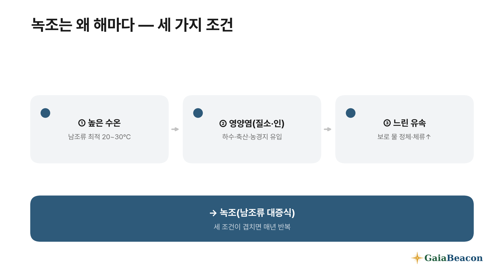 녹조 발생 세 가지 조건 — 높은 수온, 영양염(질소·인), 느린 유속