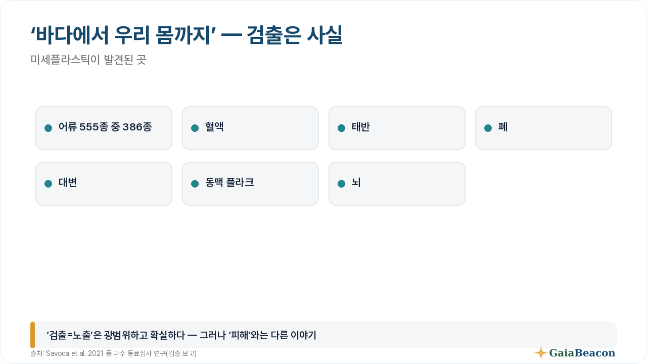 미세플라스틱이 검출된 곳