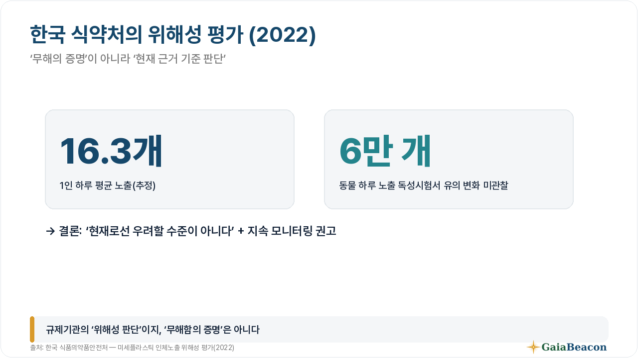 식약처 2022 위해성 평가